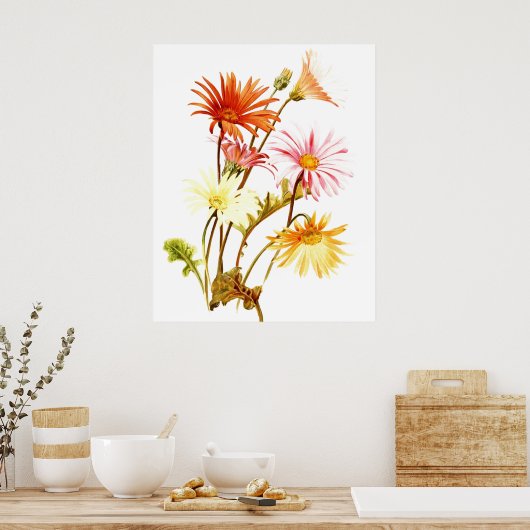 Colorful Gerbera Daisy Wallart Poster (Keuken)