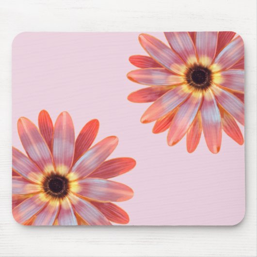 Colorful Gerbere Daisy Floral Muismat (Voorkant)