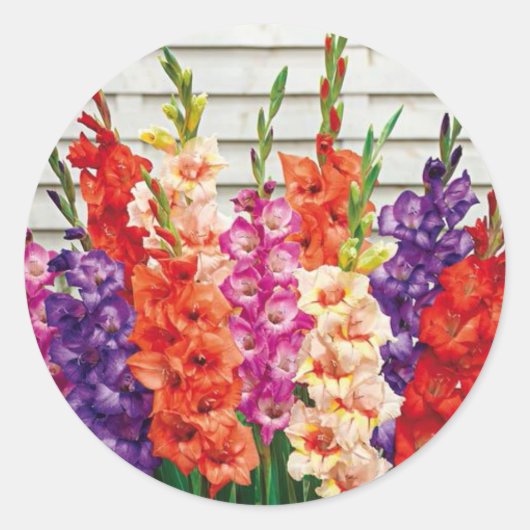 Colorful Gladiolas Envelope Seal Sticker (Voorkant)