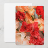 Colorful Gladiolus Flowers Feestdagenkaart (Voorkant / Achterkant)