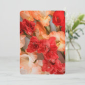 Colorful Gladiolus Flowers Feestdagenkaart (Staand voorkant)