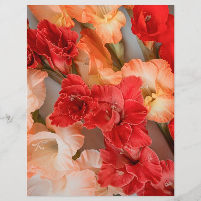 Colorful Gladiolus Flowers Scrapbook Paper (Voorkant)