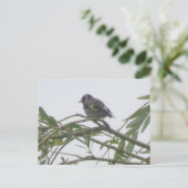 Colorful Goldfinch DIY Briefkaart (Staand voorkant)