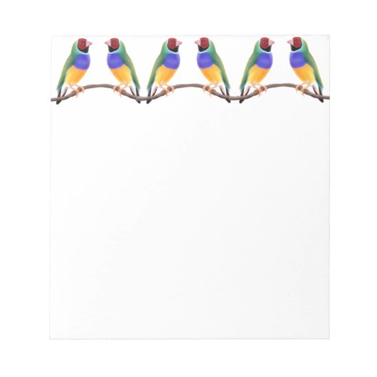 Colorful Gouldian Finches Notitieblok (Voorkant)