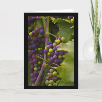 Colorful Grapes Kaart