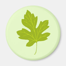 Colorful Green Autumn Leaf Magnet