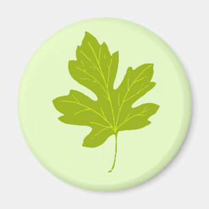Colorful Green Autumn Leaf Magnet