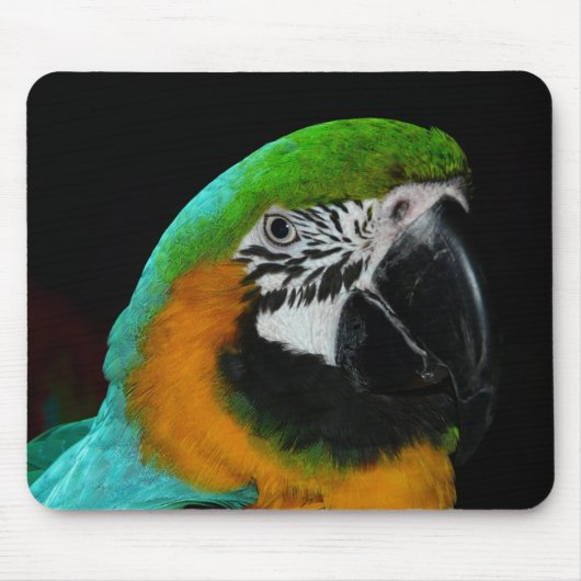 Colorful Green Parrot Muismat (Voorkant)
