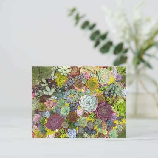 Colorful Greenery Succulents Briefkaart (Staand voorkant)