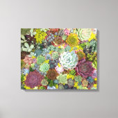 Colorful Greenery Succulents Canvas Afdruk (Voorkant)