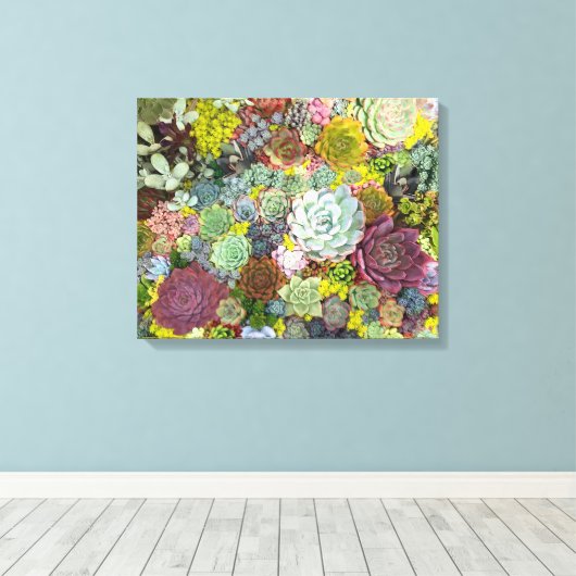 Colorful Greenery Succulents Canvas Afdruk (Insitu (Houten vloer))