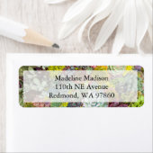 Colorful Greenery Succulents Etiket (Insitu)