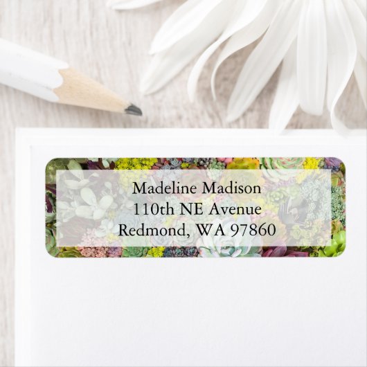 Colorful Greenery Succulents Etiket (Insitu)