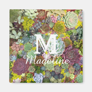 Colorful Greenery Succulents Magneet