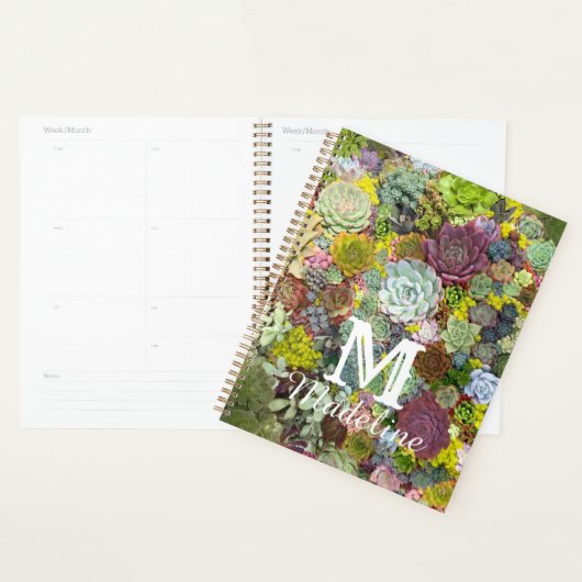 Colorful Greenery Succulents Planner (Display)