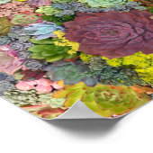 Colorful Greenery Succulents Poster (Hoek)