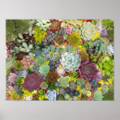 Colorful Greenery Succulents Poster (Voorkant)