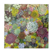 Colorful Greenery Succulents Tegeltje (Voorkant)