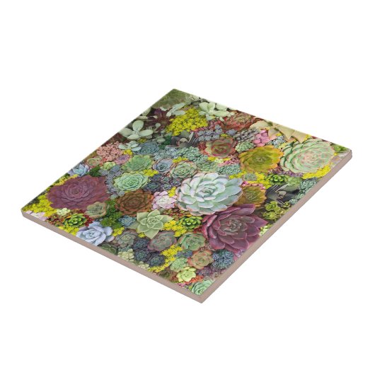 Colorful Greenery Succulents Tegeltje (Zijkant)