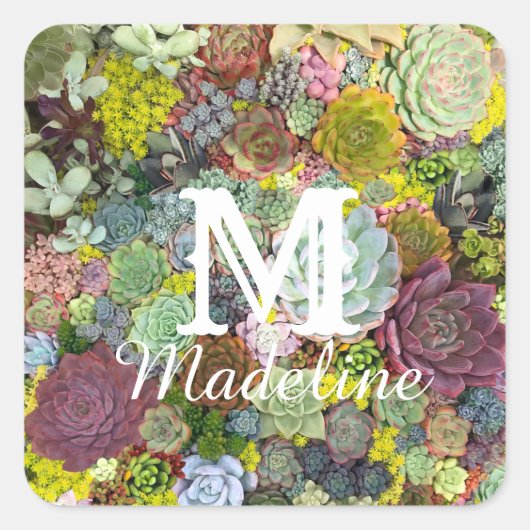 Colorful Greenery Succulents Vierkante Sticker (Voorkant)