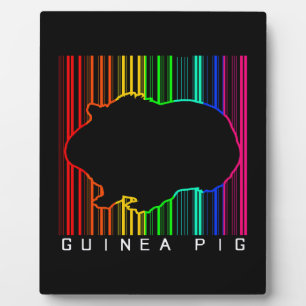 Colorful Guinea Pig Cute Guinee Lover Cute Pet Fotoplaat