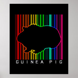 Colorful Guinea Pig Cute Guinee Lover Cute Pet Poster