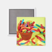 Colorful gummy worm snoep magnet (Voorkant / Achterkant)