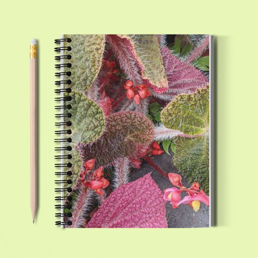 Colorful Hairy Begonia Floral Notitieboek