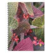 Colorful Hairy Begonia Floral Notitieboek (Voorkant)