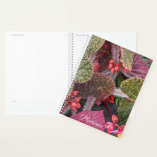 Colorful Hairy Begonia Floral Planner (Display)