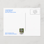 COLORFUL HANDMADE WOODEN SIGNS/RUM PT., GR.CAYMAN BRIEFKAART (Achterkant)