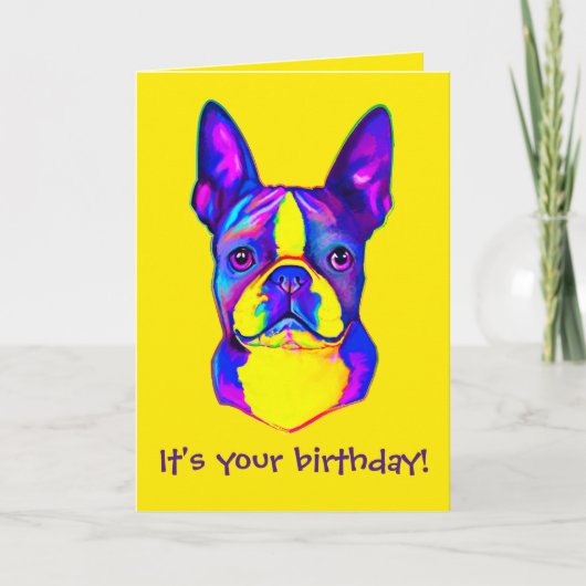Colorful Happy Birthday Boston Terrier Kaart (Voorkant)