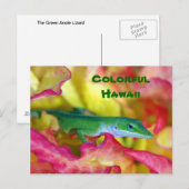 Colorful Hawaii Briefkaart (Voorkant / Achterkant)