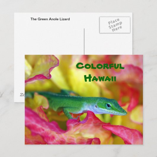 Colorful Hawaii Briefkaart (Voorkant / Achterkant)