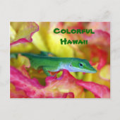 Colorful Hawaii Briefkaart (Voorkant)