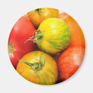 Colorful Heirloom Tomaten Magneet
