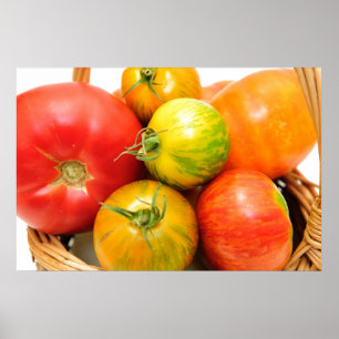 Colorful Heirloom Tomaten Poster