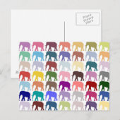Colorful Herd Briefkaart (Voorkant / Achterkant)