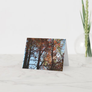 Colorful Herfst Forest Note Card Bedankkaart