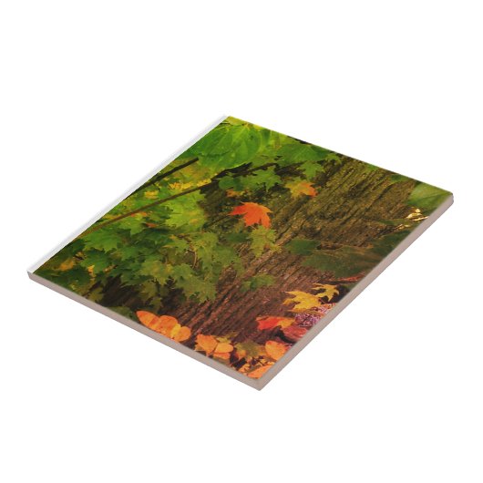 Colorful herfst leaf tegeltje (Zijkant)