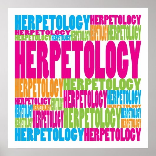 Colorful Herpetology Poster (Voorkant)