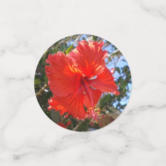 Colorful Hibiscus Flowers, Confetti (Kleine voorkant)