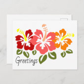 Colorful Hibiscus Trio Briefkaart (Voorkant / Achterkant)
