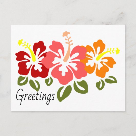Colorful Hibiscus Trio Briefkaart (Voorkant)