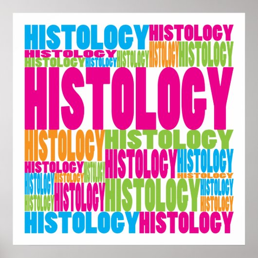 Colorful Histology Poster (Voorkant)