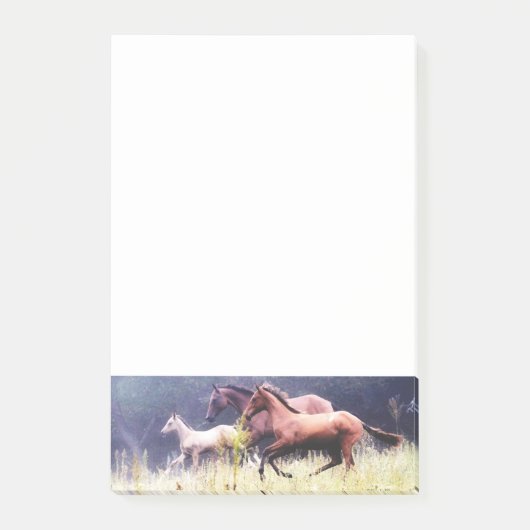 Colorful Horse Pattern Post-it® Notes (Voorkant)