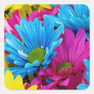 Colorful Hot Pink Blauwgroen Blue Gerber Daisies F Vierkante Sticker