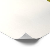 Colorful Humminbird Poster (Hoek)