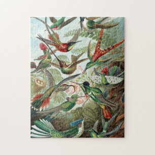 Colorful Hummingbird by Ernst Haeckel Poster Legpuzzel