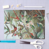 Colorful Hummingbird by Ernst Haeckel Poster Tissuepapier (Craft)